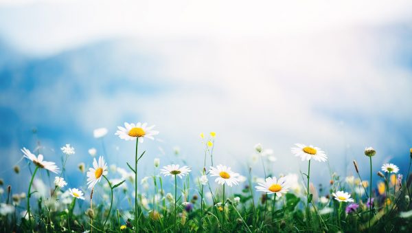 The DB & SB Spring Blind Tasting 2022 results