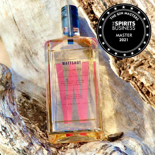 Spirit Master: Wattshot