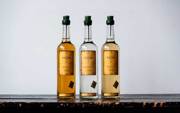 Ilegal Mezcal moves to recycled glass bottles