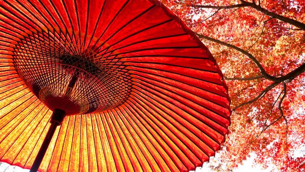 The Asian Spirits Masters 2022 results