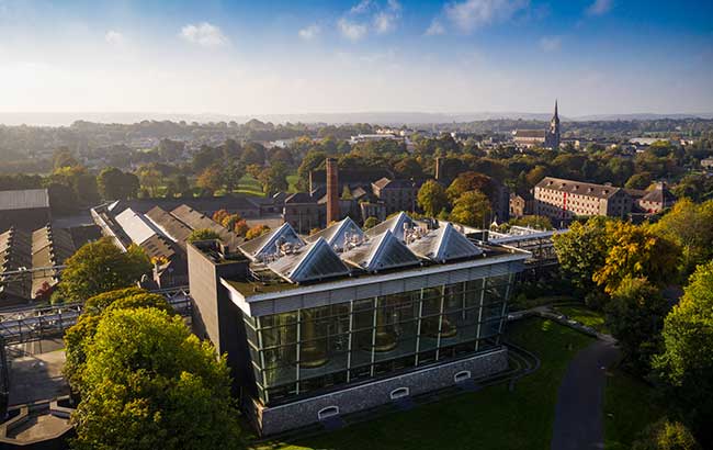 Midleton Distillery aims for carbon-neutral status by 2026 - The Spirits  Business