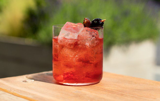 Sapling Spirits Negroni