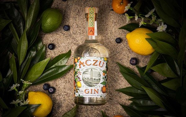 Spirit Master: Aczu Gin