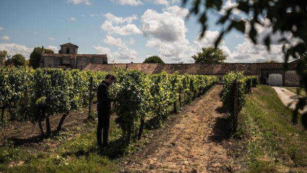 Cognac: becoming a tourist destination