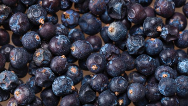 Top eight best-selling gin brands