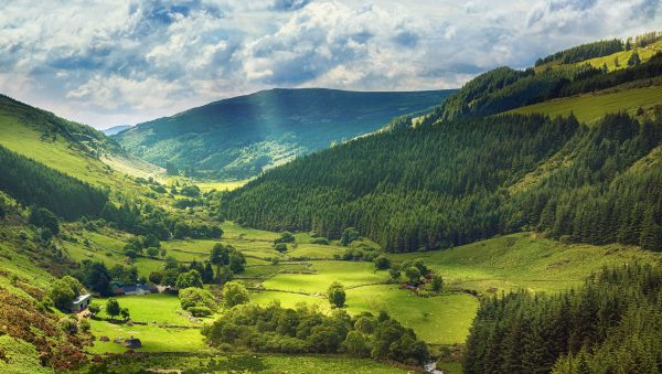 The Irish Whiskey Masters 2022 results