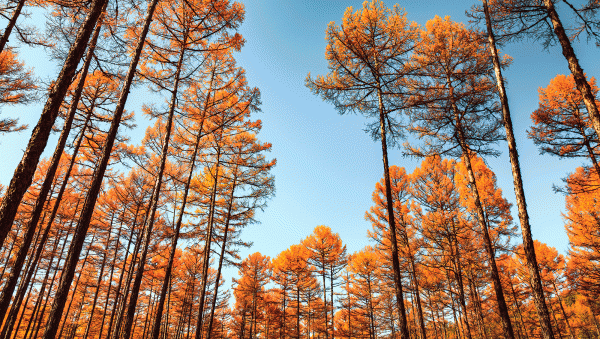 The DB & SB Autumn Blind Tasting 2022 results