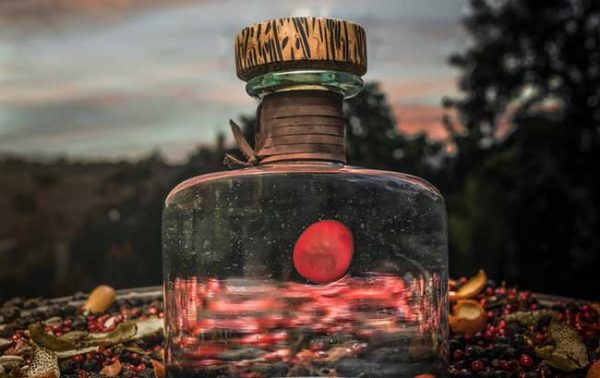 Procera rolls out vintage gins