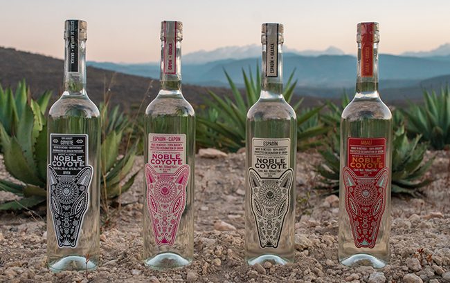 Noble Coyote mezcal