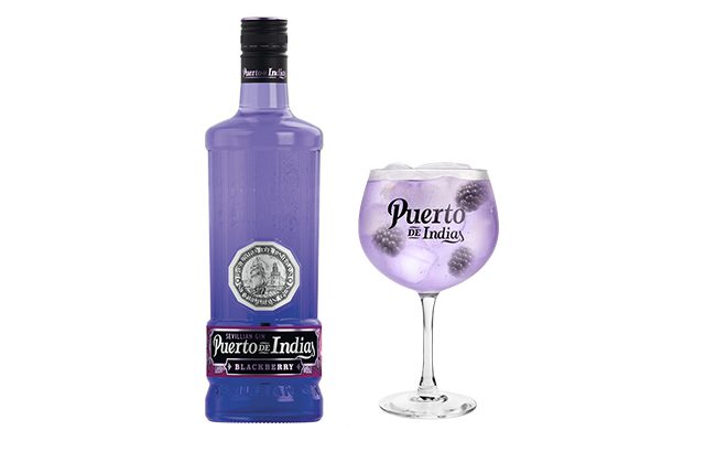 Puerto de Indias releases Blackberry Gin - The Spirits Business