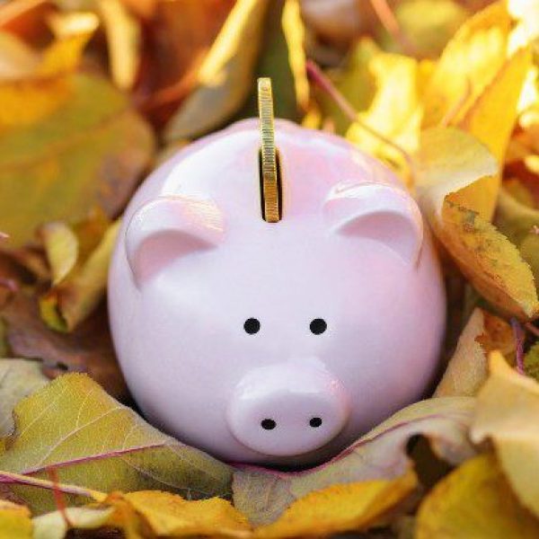 Industry reacts to autumn budget