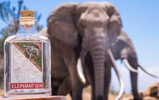 B Corp business Elephant Gin