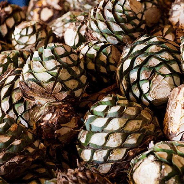 Spirits sales hit record first in US