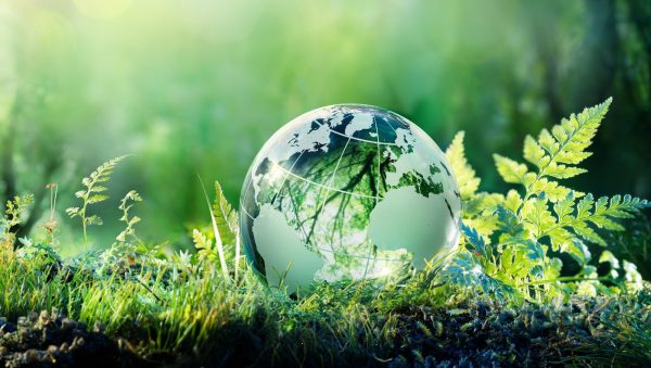 Spirits giants receive poor sustainable ranking