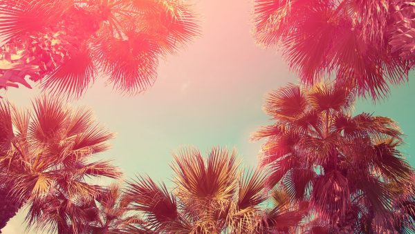 The Rum & Cachaça Masters 2023