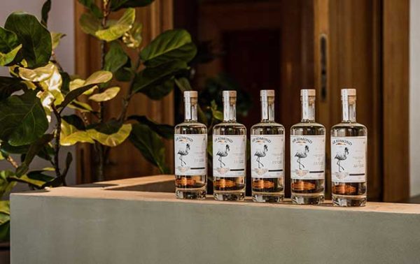 Sir Edmond Gin launches in France