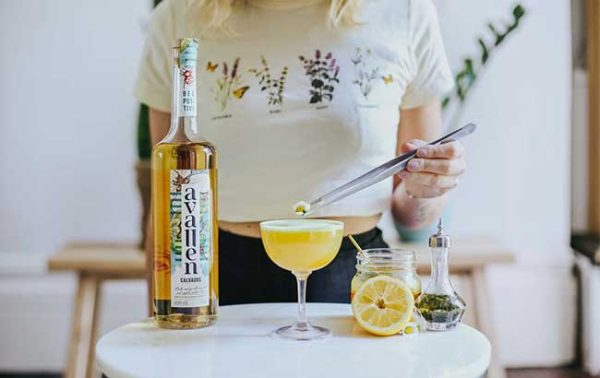 Avallen creates bar training programme