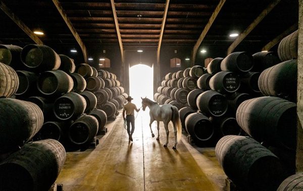 Macallan buys 50% stake in Grupo Estévez