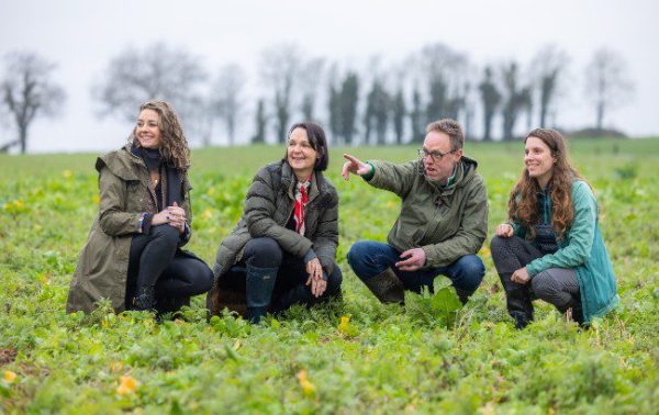 Heineken and Irish Distillers pursue barley project