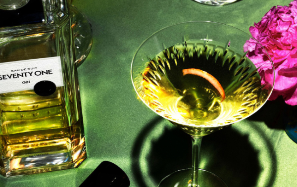 Craftsmanship justifies premium-plus status for gin