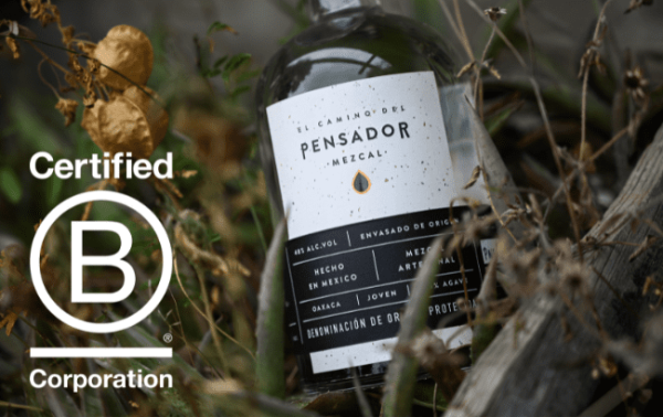 Pensador becomes first B Corp mezcal