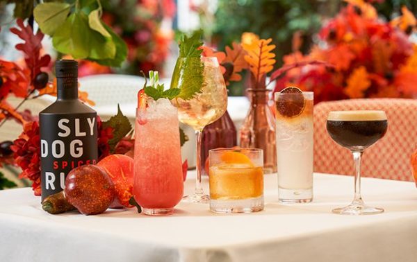 Sly Dog Rum now available to Molson Coors customers