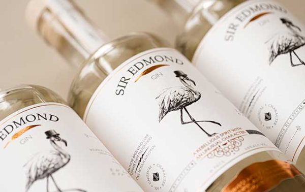 Sir Edmond Gin debuts Academy Portal