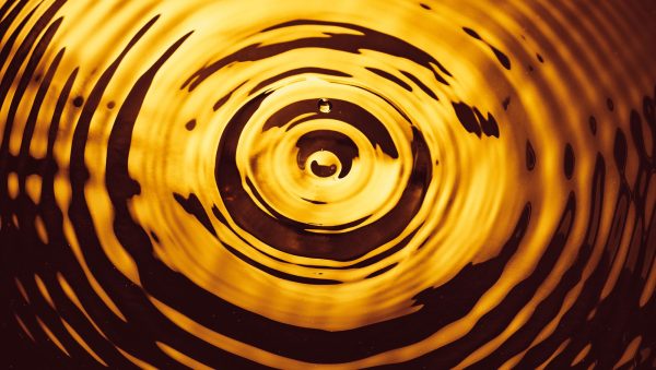 The Cognac Masters 2023 results