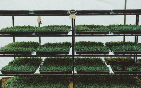 Lost Explorer Mezcal marks Earth Day 2023