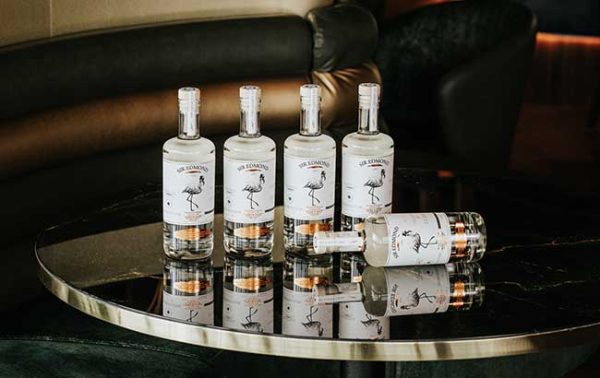 Sir Edmond Gin enters Portugal