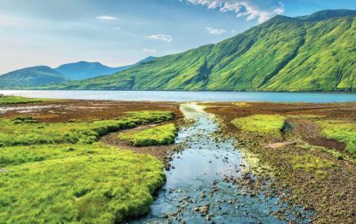 Irish whiskey exports fall 5% in 2025