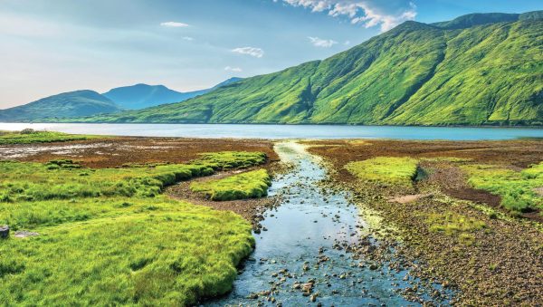 Irish whiskey: Northern Ireland faces duty free disadvantage