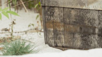 Top 10 global destination distilleries