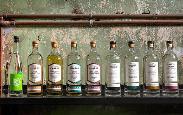 Beam Suntory moves into mezcal