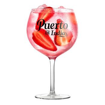 Puerto-de-Indias-gin-tonic