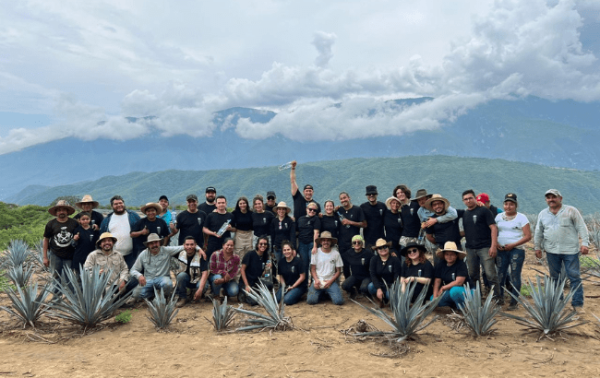 Tromba launches Agave Rewilding Initiative