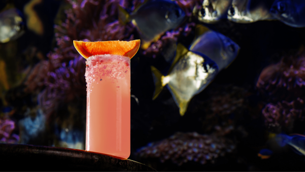 What’s on in August