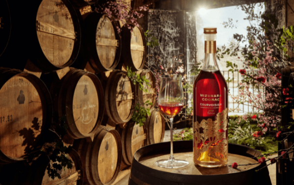 Campari considers axing jobs