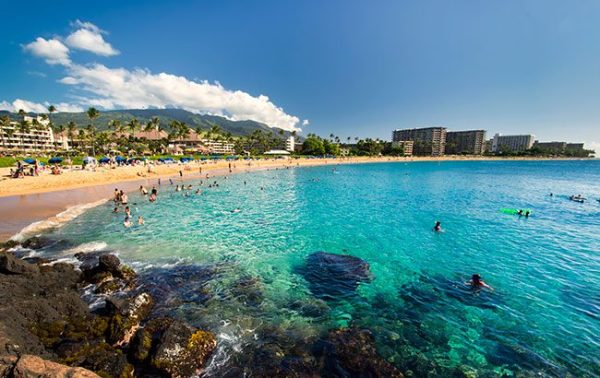 Suntory gives $70,000 to Maui relief efforts