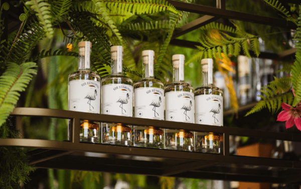 Sir Edmond Gin moves into India