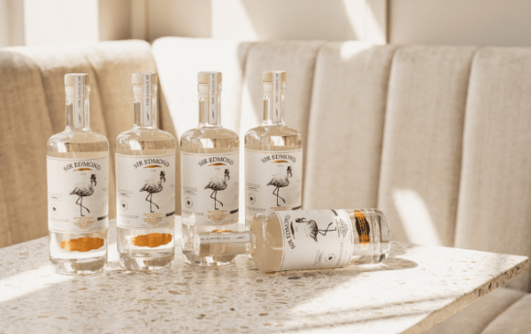 Sir Edmond Gin enters Switzerland