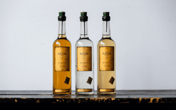 Bacardi buys Ilegal Mezcal