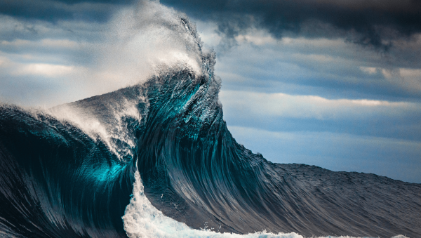 Hitting the wall: Australia’s spirits taxes block expansion