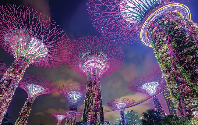 Asia – SINGAPORE - FEB 11 , 2017 : Super tree in Garden by the Bay, Singapore.