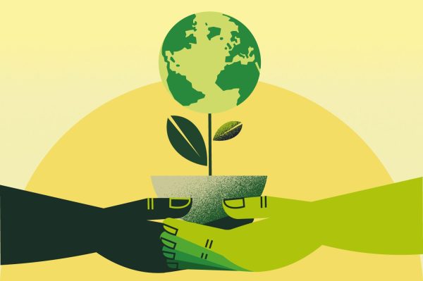 Sustainability in spirits: unpacking the buzzwords