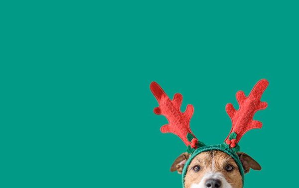 Merry Christmas from The Spirits Business