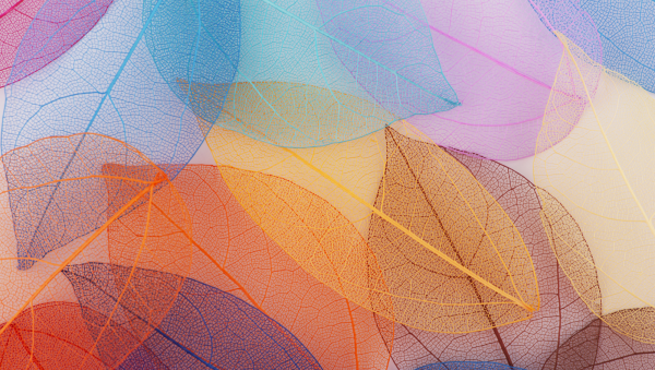 The Design & Packaging Masters 2023 results