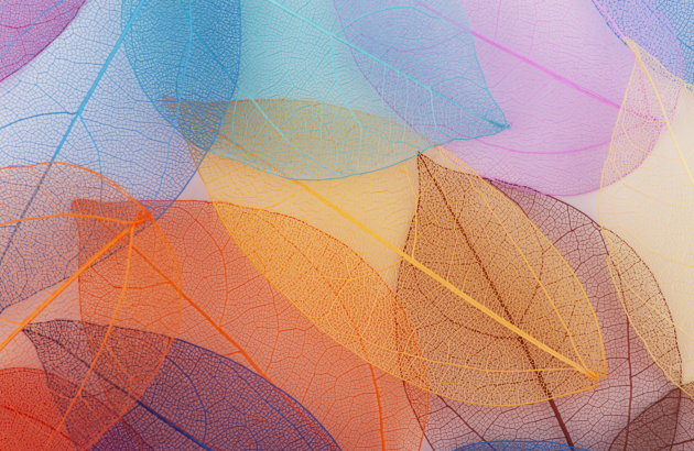 The Design & Packaging Masters 2023 results