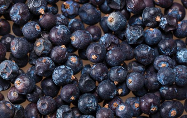 Entries open for The Gin Masters 2024