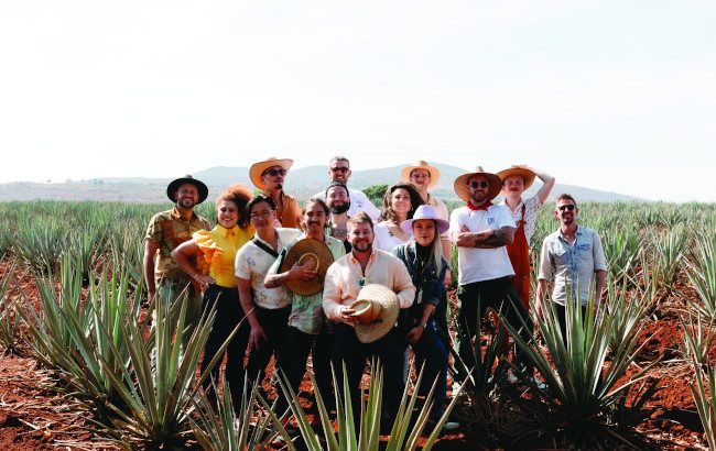 Patrón’s Perfectionists